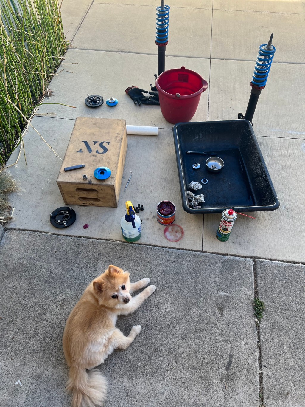 Suspended Suspension + Repainted&nbsp;Parts